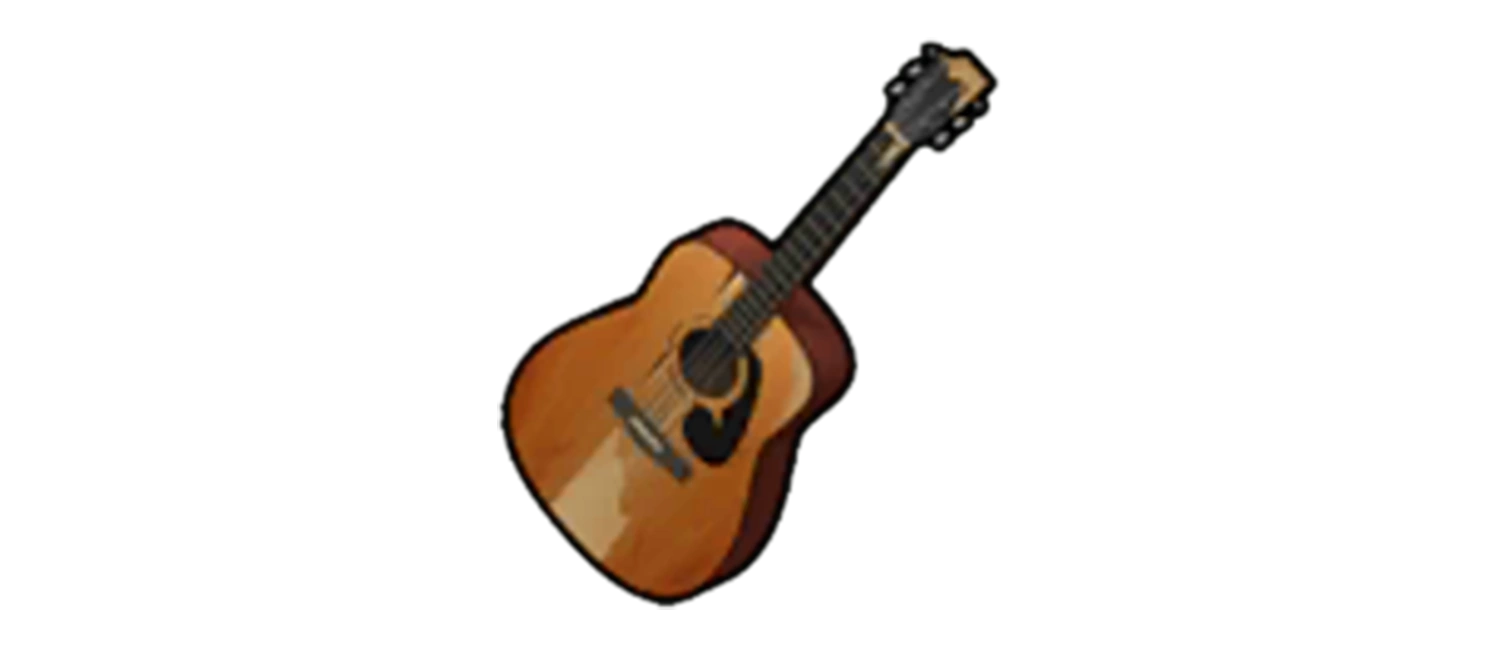 Guitar